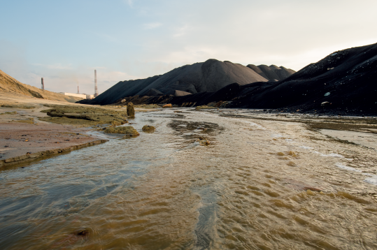 Olives et valorisation